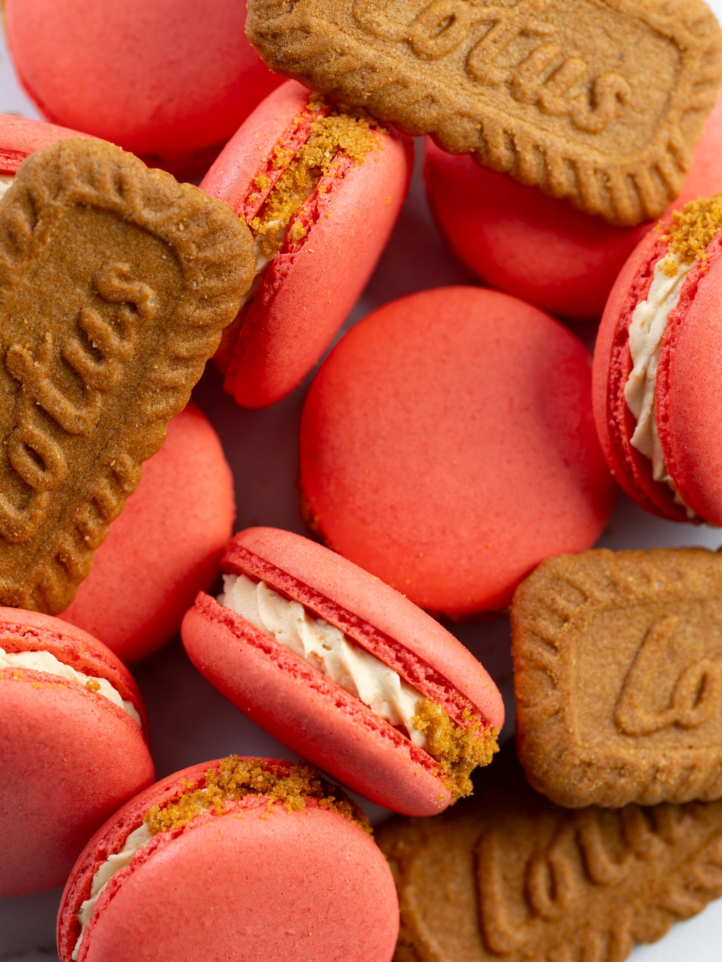 box of Biscoff macarons